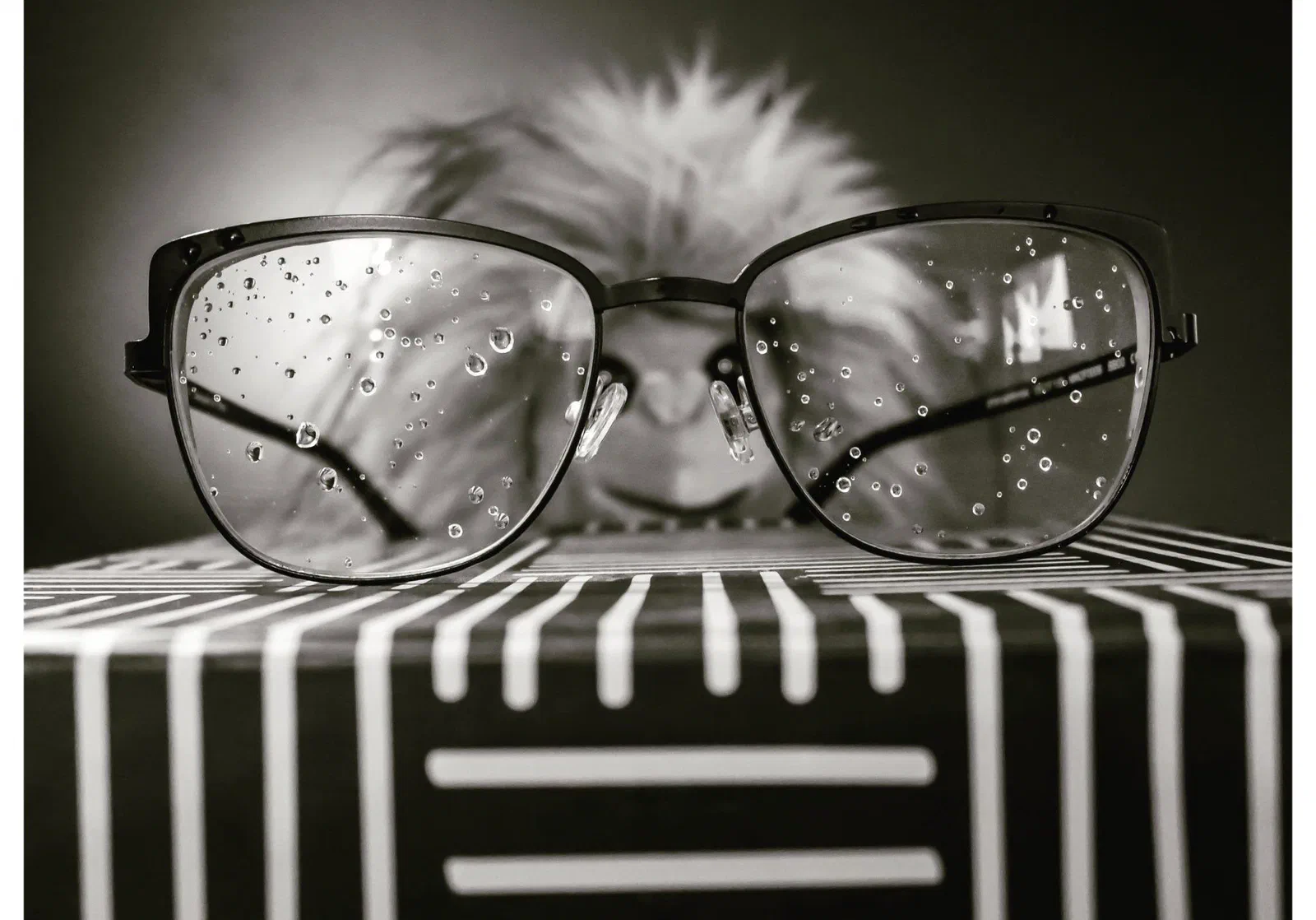 Lunettes constellées de gouttes de pluie devant une peluche ébouriffée