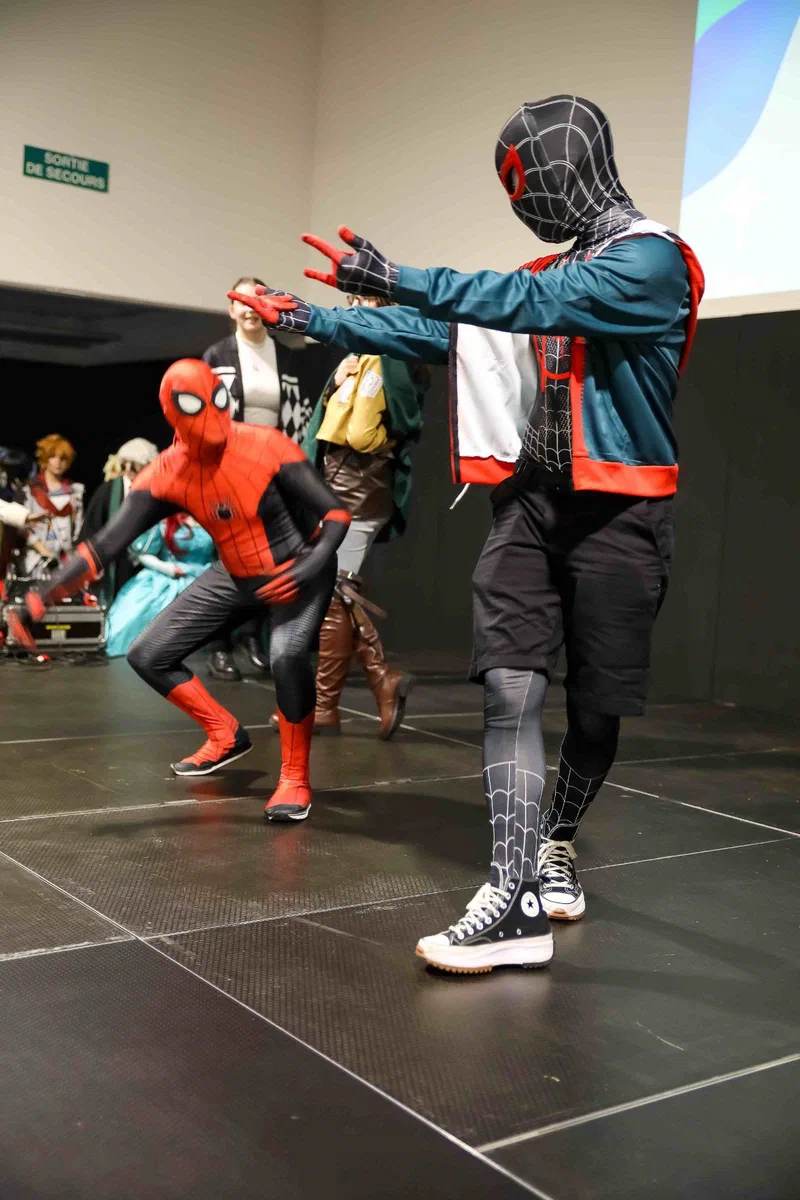 Convention Japan Pop Show Paris, à Montreuil